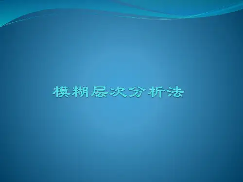 模糊层次分析法