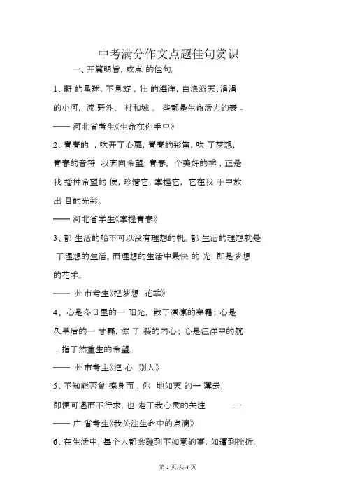 中考满分作文点题佳句欣赏