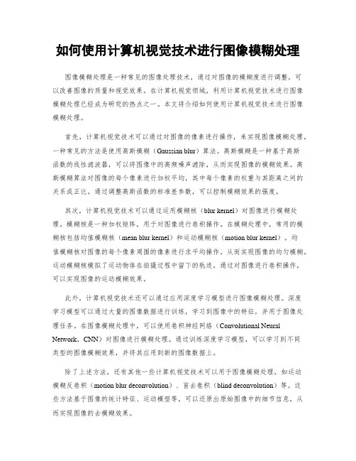 如何使用计算机视觉技术进行图像模糊处理