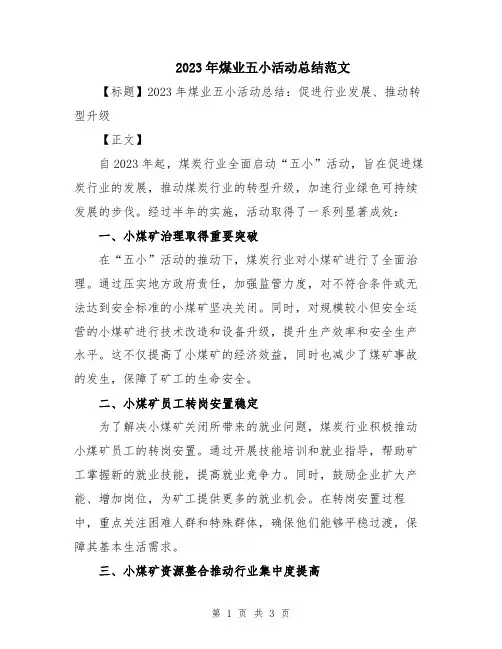 2023年煤业五小活动总结范文