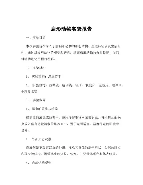 扁形动物实验报告