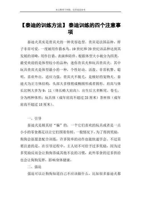 【泰迪的训练方法】 泰迪训练的四个注意事项