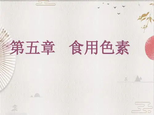 食品添加剂5食用色素 