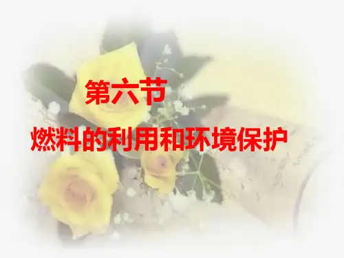 第六节 燃料的利用和环境保护(课件)