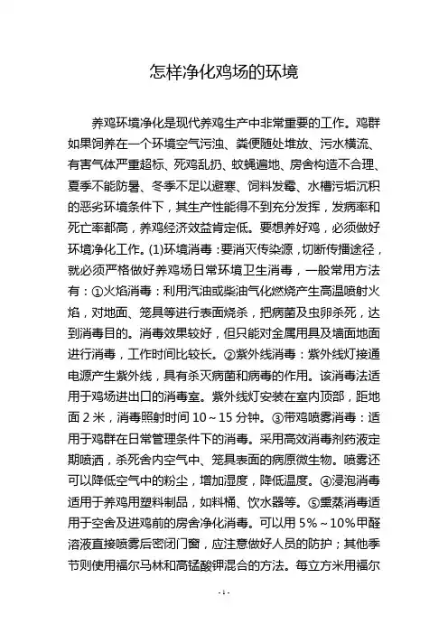 怎样净化鸡场的环境
