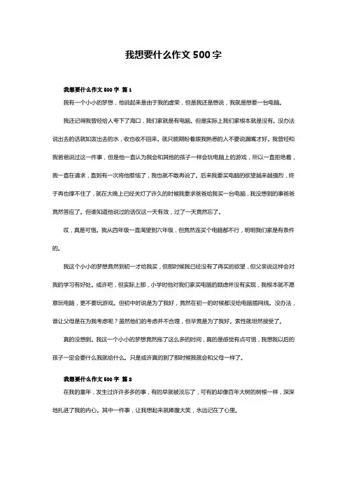 我想要什么作文