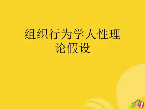 组织行为学人性理论假设标准文档ppt
