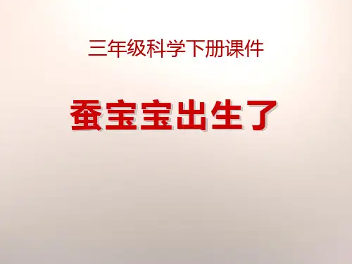 《蚕宝宝出生了》我们来养蚕PPT课件3