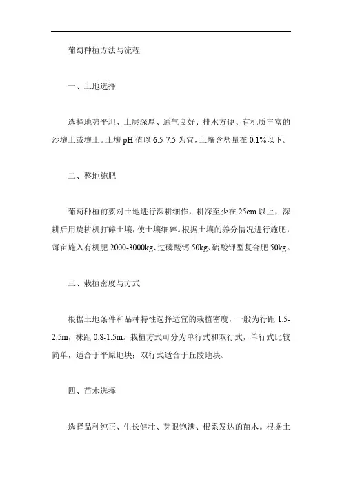 葡萄种植方法与流程