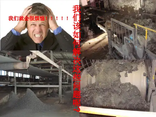 清扫器现场安装与故障处理ppt课件