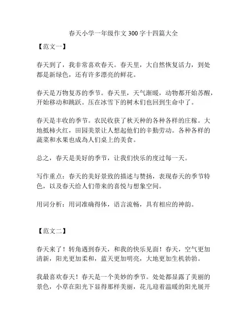 春天小学一年级作文300字十四篇大全