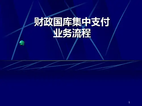 财政国库集中支付业务流程ppt课件