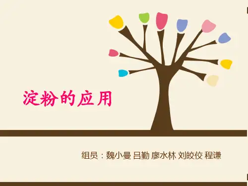 淀粉应用(最终版)..