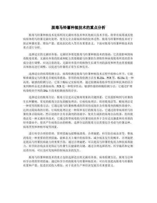 脱毒马铃薯种植技术的重点分析