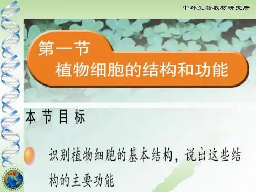 植物细胞结构和功能