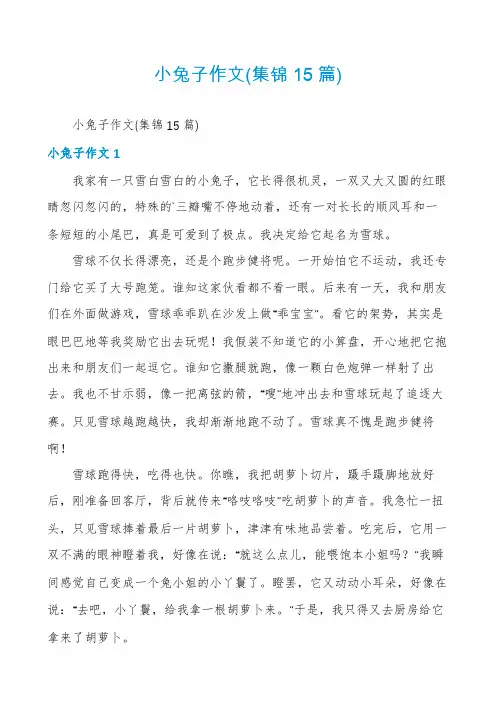 小兔子作文(集锦15篇)