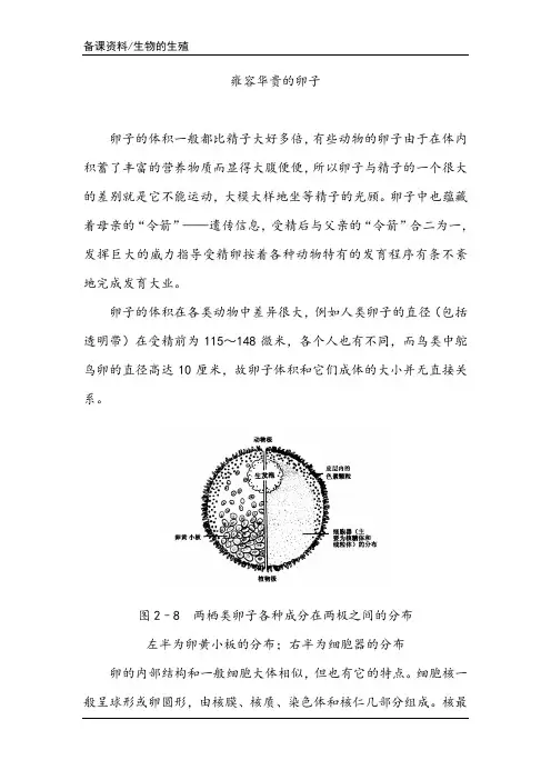 【备课资料】雍容华贵的卵子(附图)