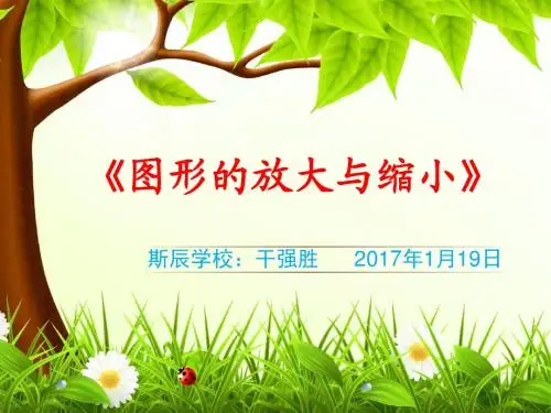 苏教版六年级数学下册《放大与缩小》微型PPT