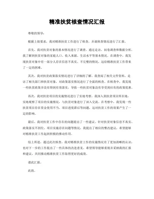精准扶贫核查情况汇报