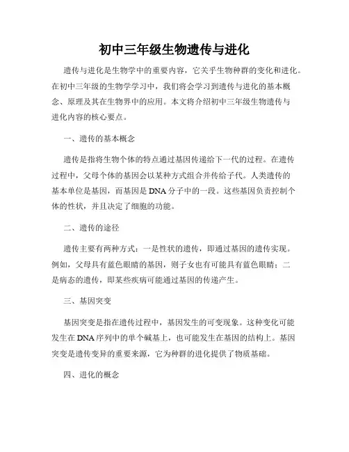 初中三年级生物遗传与进化