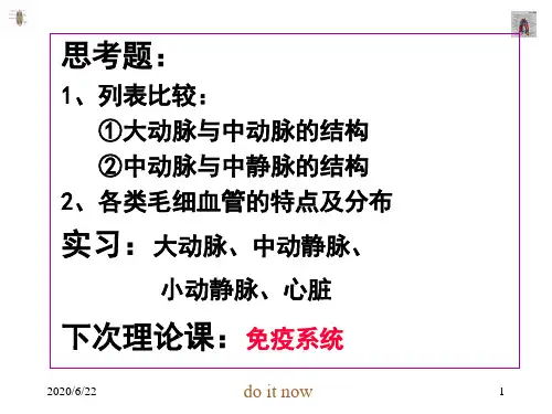 循环系统27021 ppt课件