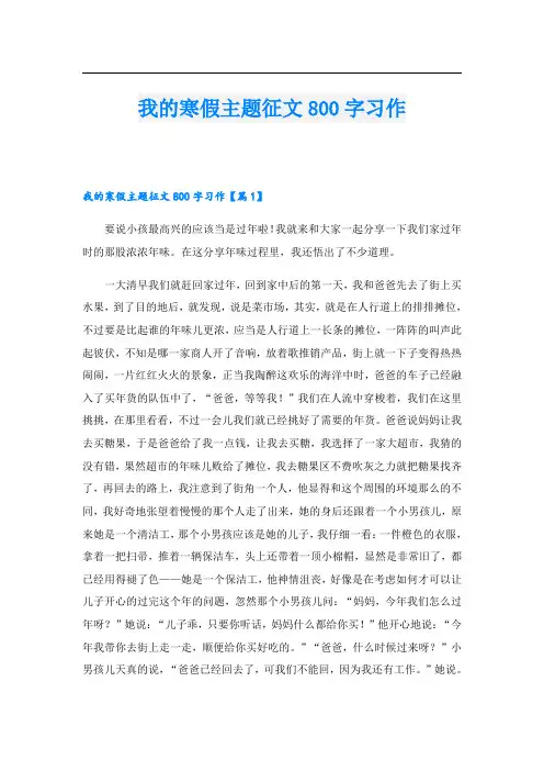 我的寒假主题征文800字习作