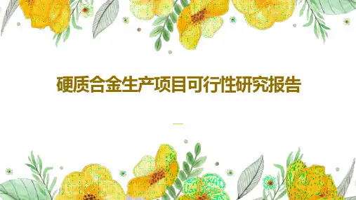硬质合金生产项目可行性研究报告