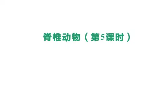 2.2.2 脊椎动物(第5课时)课件(共25张PPT)人教版生物七年级上册(2024).ppt