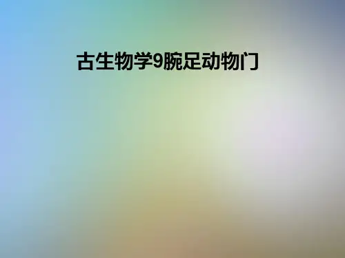 古生物学9腕足动物门