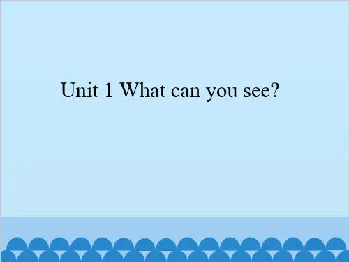 四年级上册英语课件 Unit 1 What can you see？ 湘鲁版