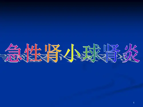 肾小球肾炎PPT课件