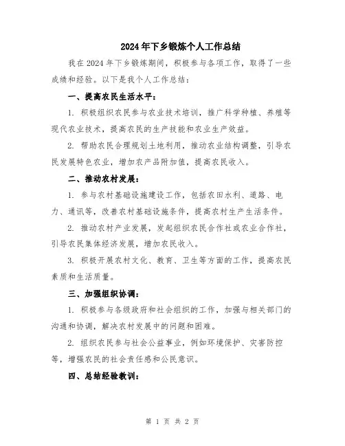 2024年下乡锻炼个人工作总结