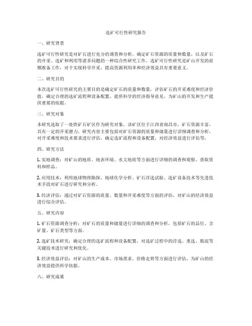 选矿可行性研究报告