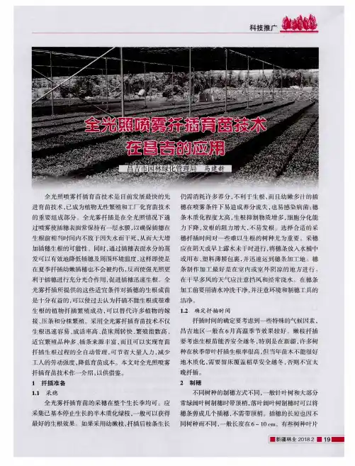 全光照喷雾扦插育苗技术在昌吉的应用
