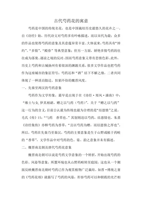 古代芍药花的寓意