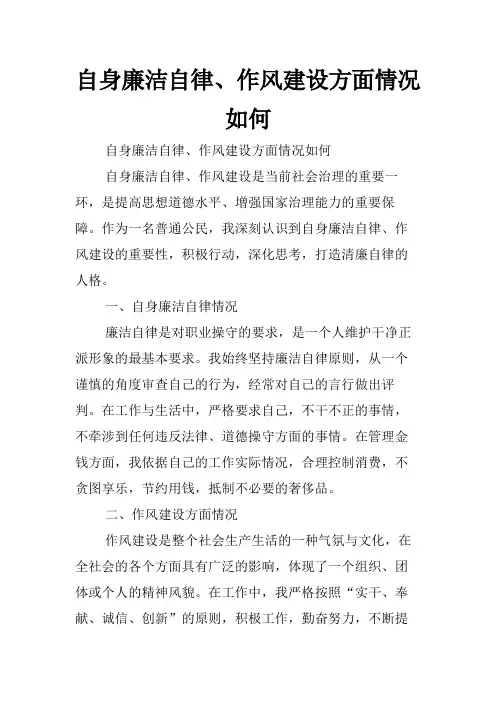 自身廉洁自律、作风建设方面情况如何