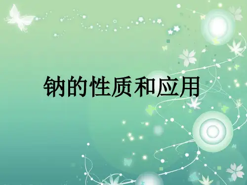 钠的性质和应用PPT教学课件