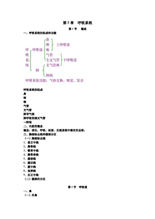 《正常人体学基础》教案 第五章 呼吸系统