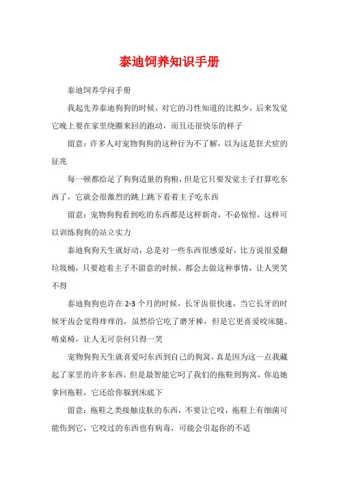 泰迪饲养知识手册