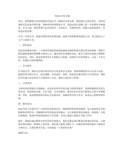 当团支书发言稿