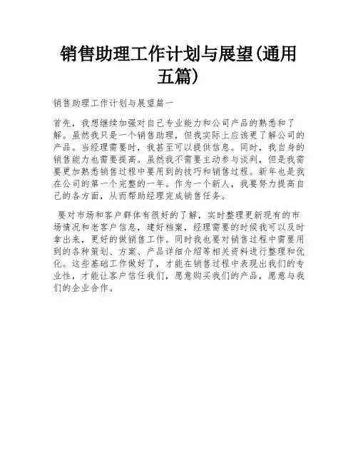 销售助理工作计划与展望(通用五篇)