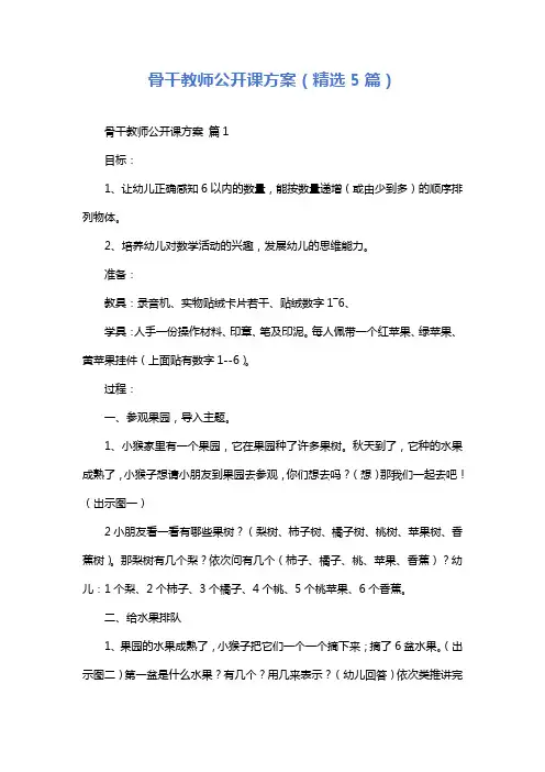 骨干教师公开课方案(精选5篇)