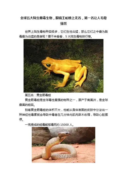 全球五大陆生最毒生物，眼镜王蛇榜上无名，第一名让人毛骨悚然