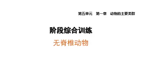 人教版生物八年级上册阶段综合训练无脊椎动物试题