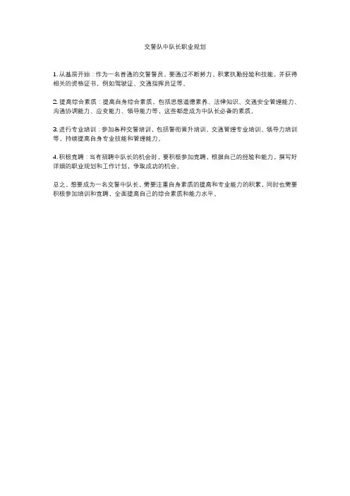 交警队中队长职业规划