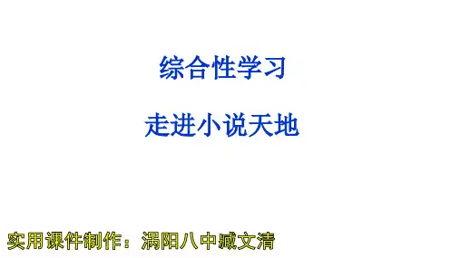 九年级语文上册综合性学习《走进小说天地》课件习题