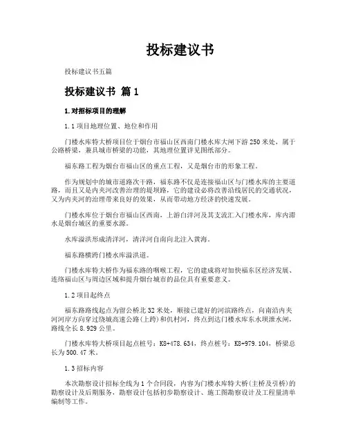 投标建议书