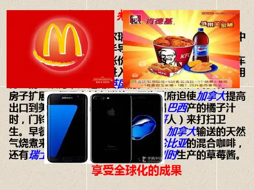 高中历史必修二《专题八当今世界经济的全球化趋势三经济全球化的世界》84人民版PPT课件