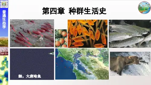 第四章 种群生活史