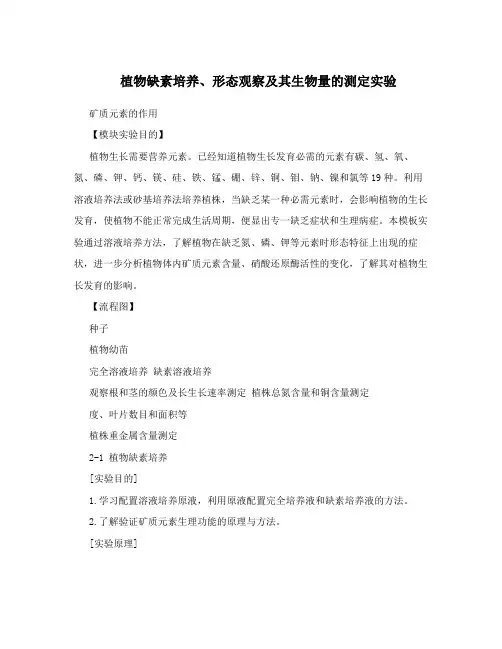 植物缺素培养、形态观察及其生物量的测定实验